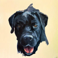 Dipinto di un cane, dog's portrait