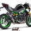 Thumbnail: Kawasaki Z900 (SE) 2025-* SC-Project SC1-R Carbon