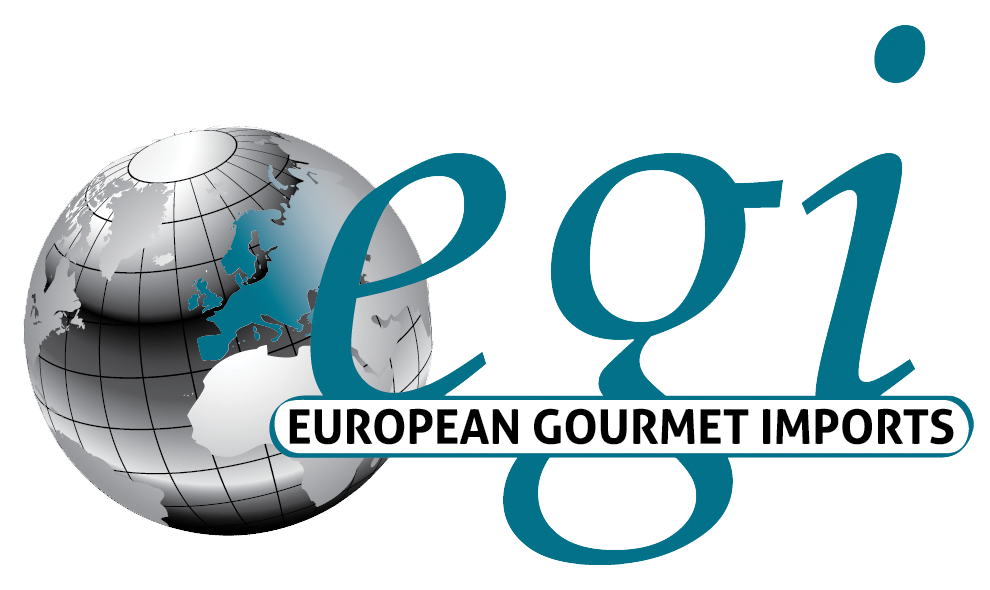 EGI logo with a world and blue letters