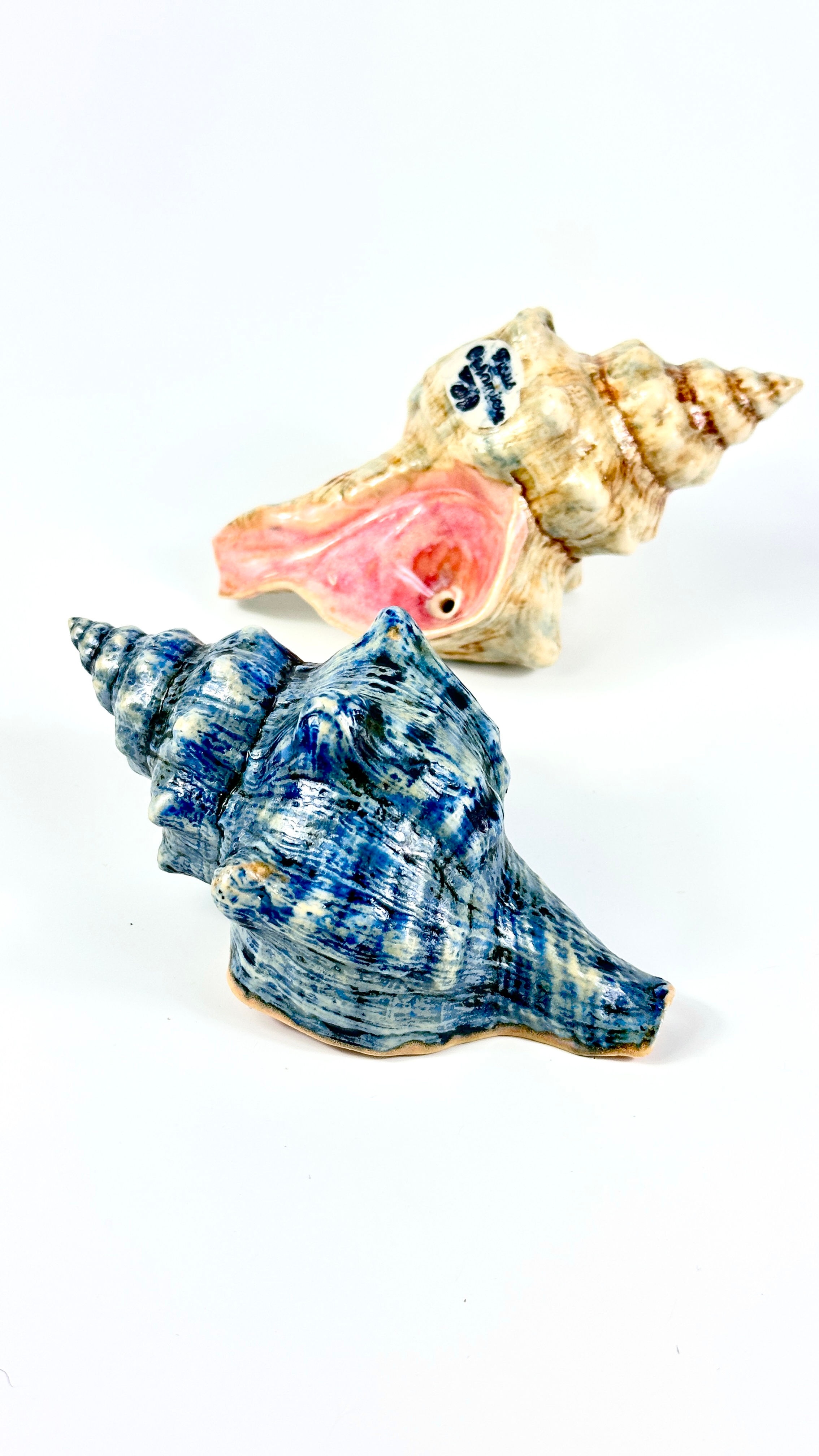 seashell pipe