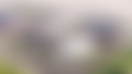 Cultural Resources Office Recommends Denying Optimist Site Proposal