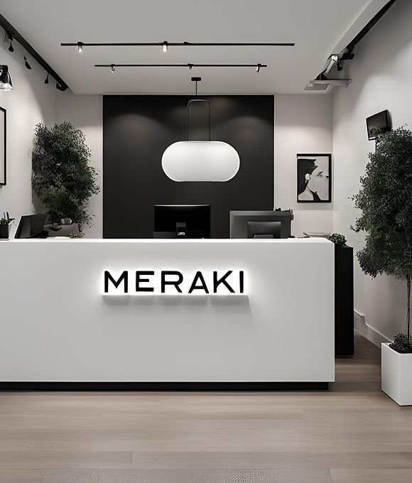 MERAKI_edited.jpg