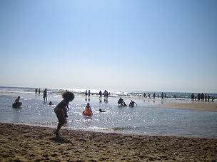 Plage docteursales.be.JPG