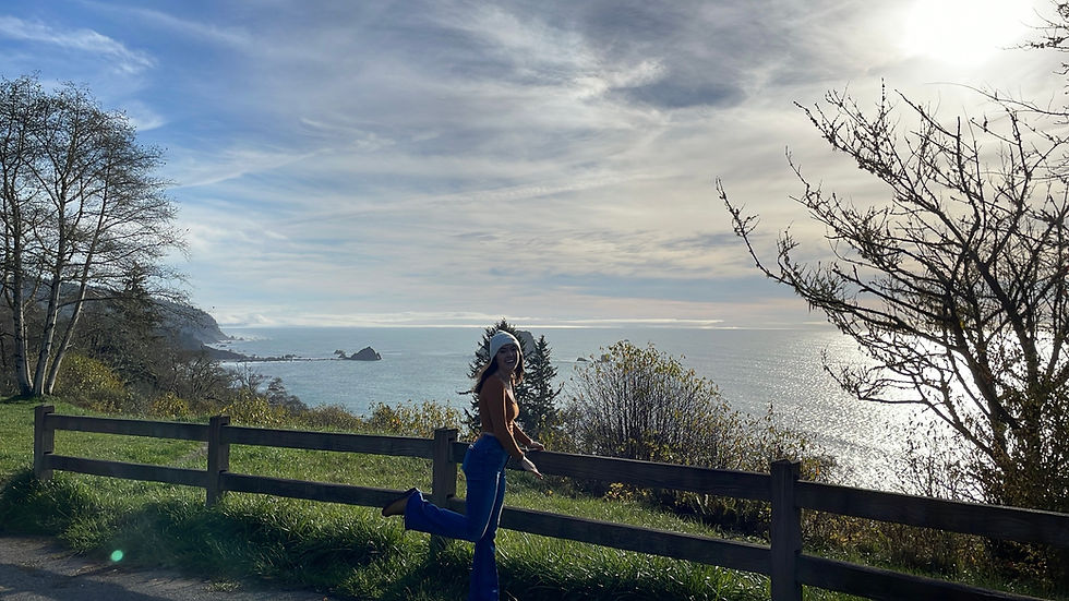 the Oregon coast