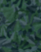 Thumbnail: Lotus Origami