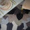 Thumbnail: Lotus Origami