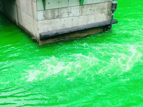 St. Patrick’s Day ☘️ Chicago Style