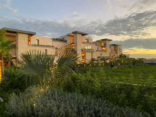 New Hotel Opening: Etereo, Auberge Resorts Collection