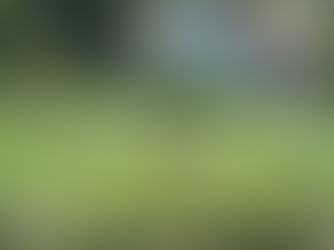 Press: Elli Travel Group is Featured in Canada's The Globe and Mail