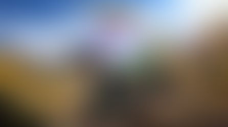MONSTER JAM SHOWDOWN RELEASE DATE OFFICIALLY REVEALED