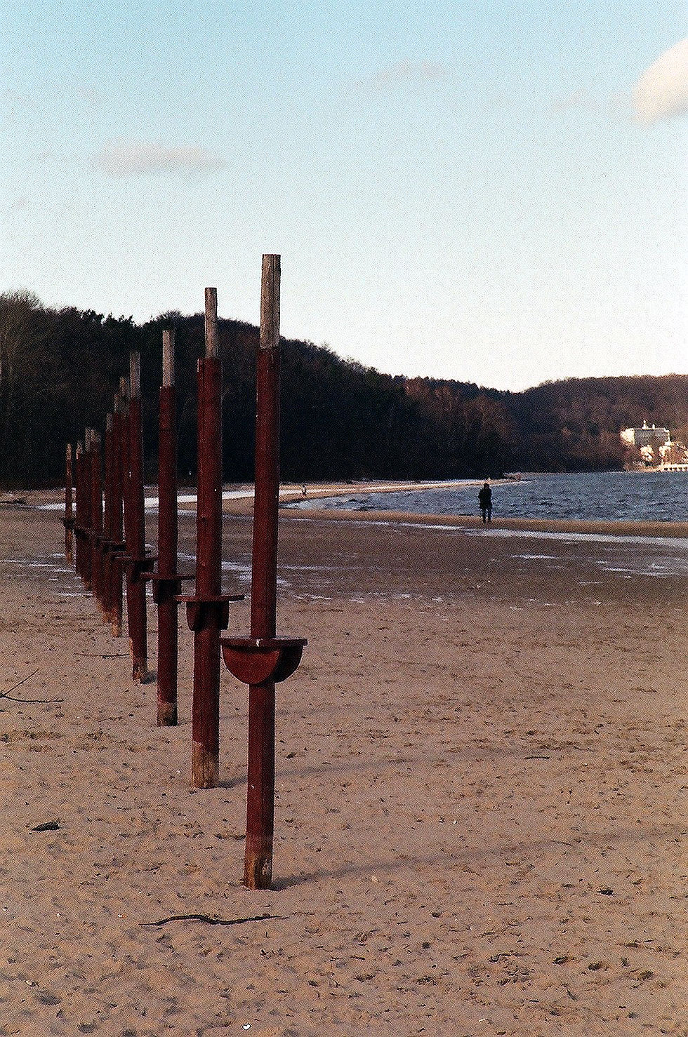 25850028.jpg