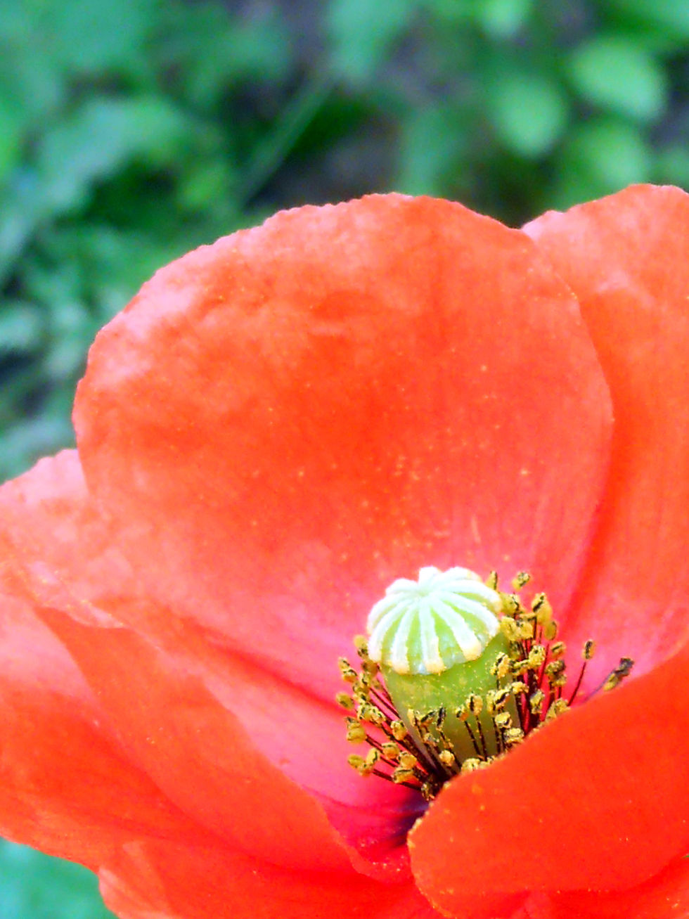 RSCN4675.jpg