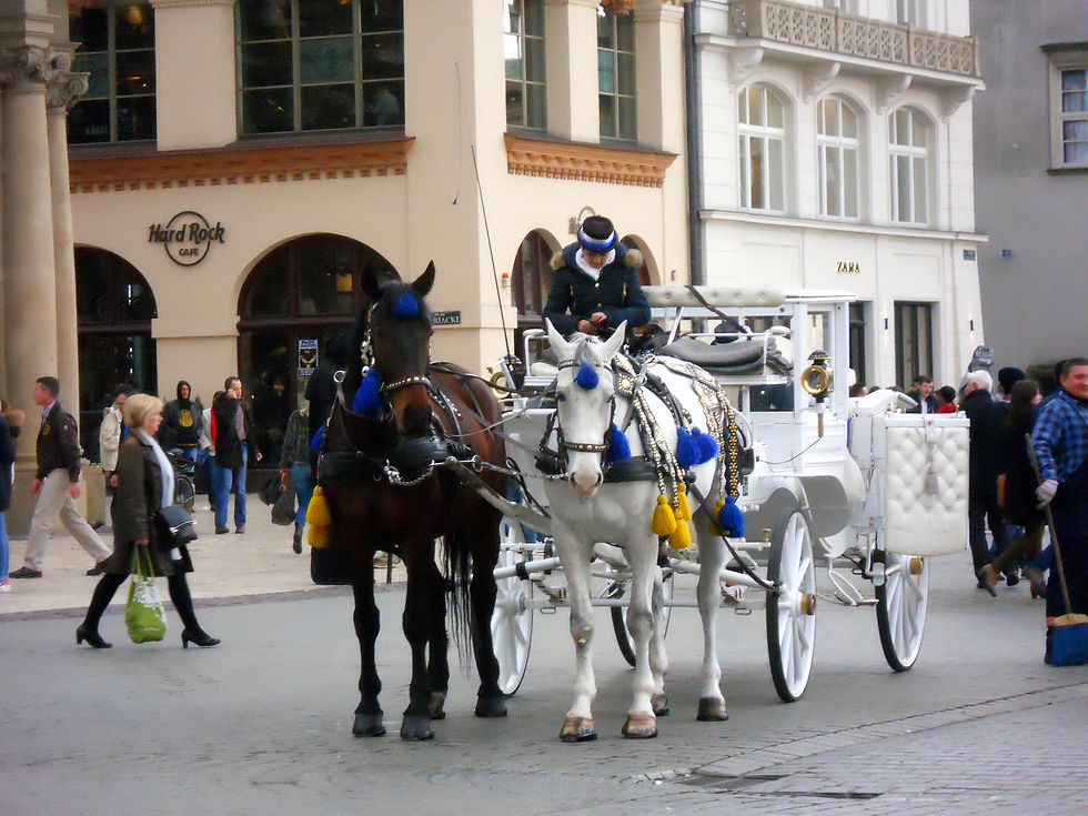 Kraków