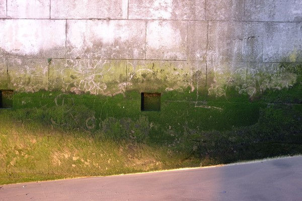 011.jpg