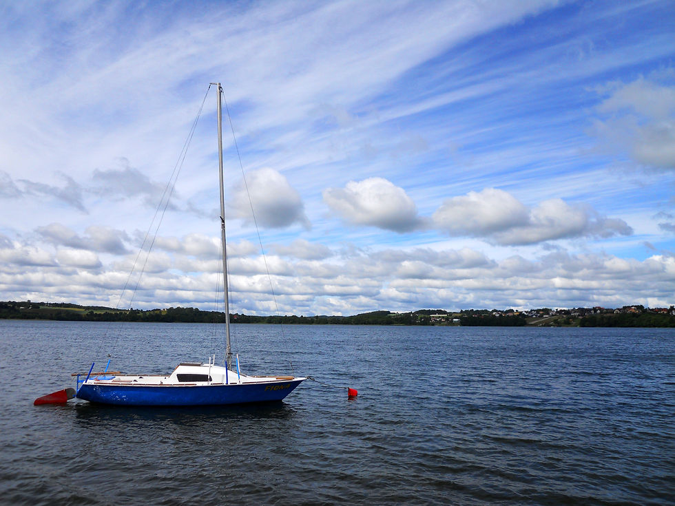 DSCN4611.jpg