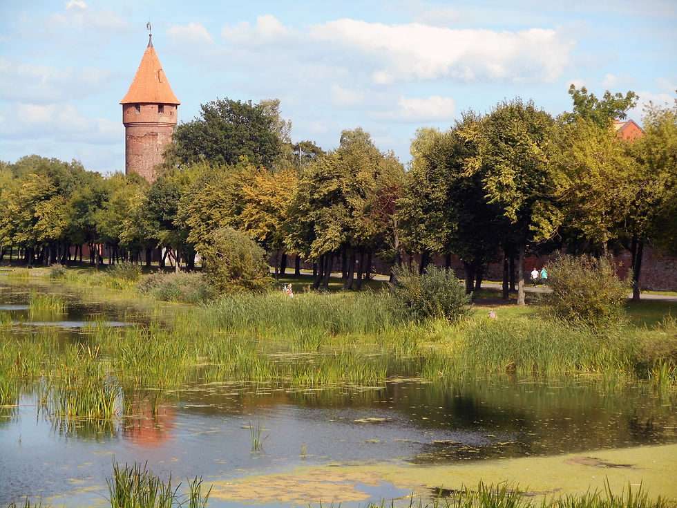 Zamek Krzyżacki w Malborku