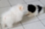 166