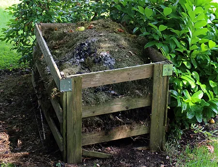 Compost Pickup Service.webp