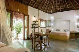 Cabaña 2.webp