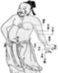 Canales acupuntura 1.jpg