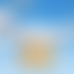 SERVIÇO DO GOOGLE DE ENTREGAS POR DRONES É LIBERADO NOS EUA
