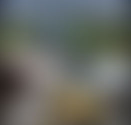 DIVIDIR PARA SOMAR, YELLOW E GRIN ANUNCIAM FUSÃO E CRIAM A GROW