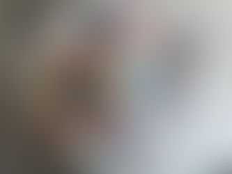 Em Natal, Polícia Federal prende homem com quase 1 mil em cédulas falsas