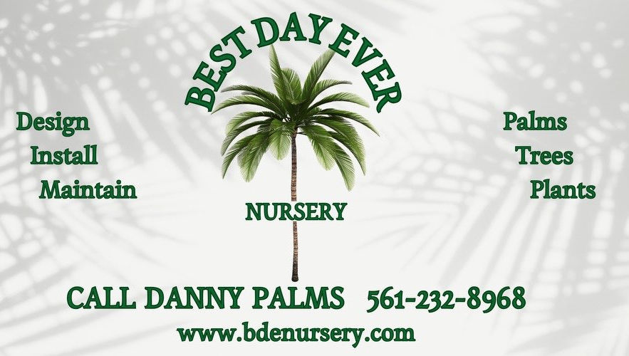 A photo of our logo with our phone number and services on it with a picture of a palm tree