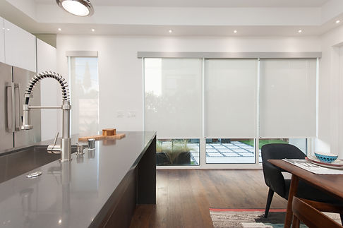 RollerShade_Pearl_Pewter A300_F0362.jpg