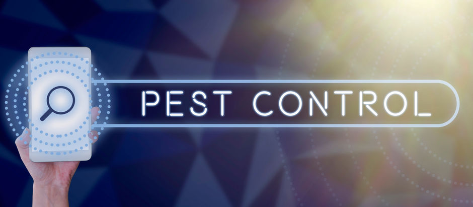 Η Σημασία του Επαγγελματικού Pest Control: Απεντόμωση, Μυοκτονία και Βιώσιμη Ανάπτυξη