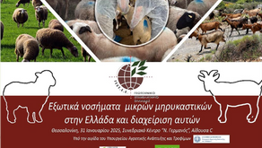 Ο Σ.Ε.Α.Μ.Ε. στο Προεδρείο της Ημερίδας του ΓΕΩΤ.Ε.Ε. για τα Εξωτικά Νοσήματα Μικρών Μηρυκαστικών στην Ελλάδα