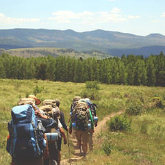 Group Hiking in Nature