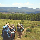 On the Trail