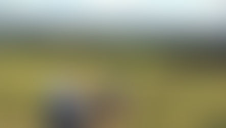 TRILHAR É COLABORATIVO!