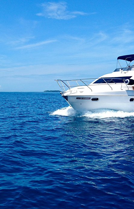 white and blue yacht on sea under blue s