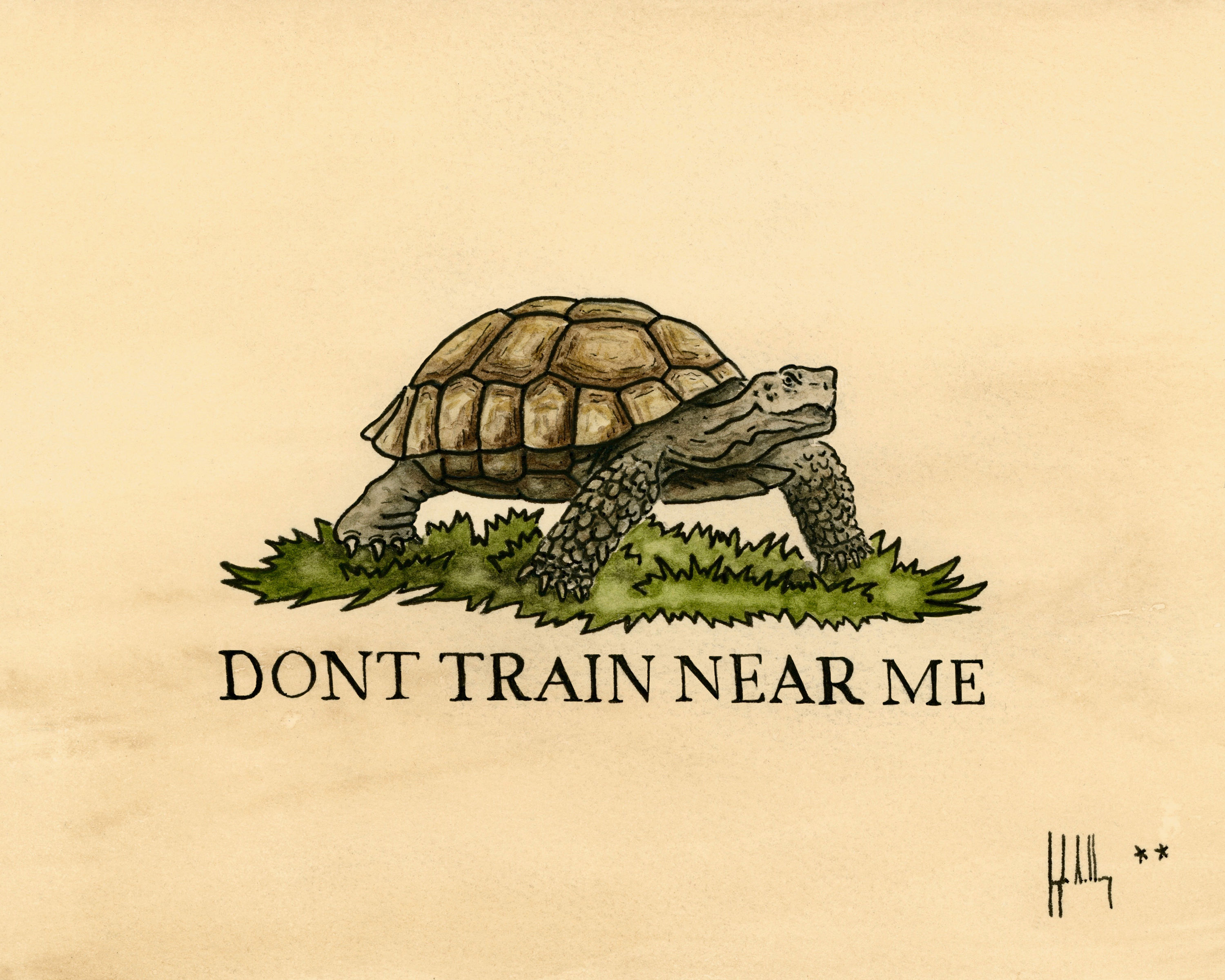 Dont Train Near Me Desert Tortoise