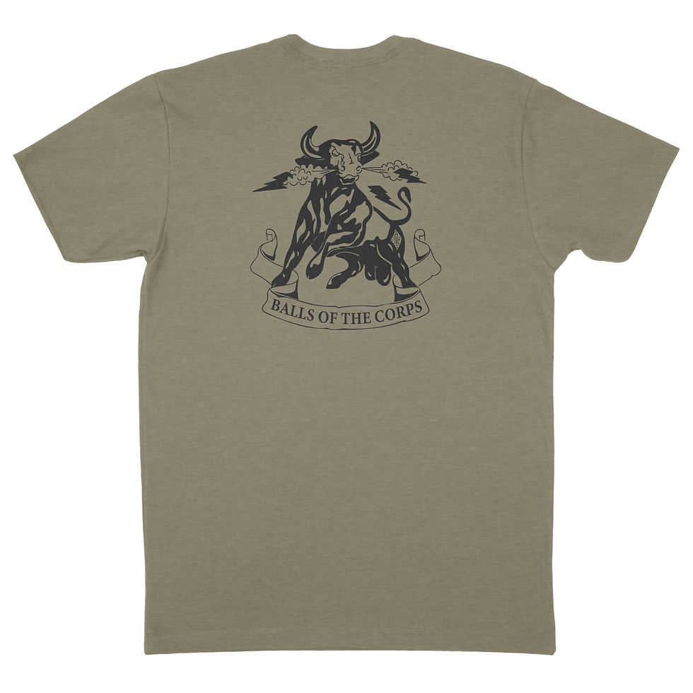 Thumbnail: 3rd Battalion 1st Marines 3/1 Balls of The Corps
