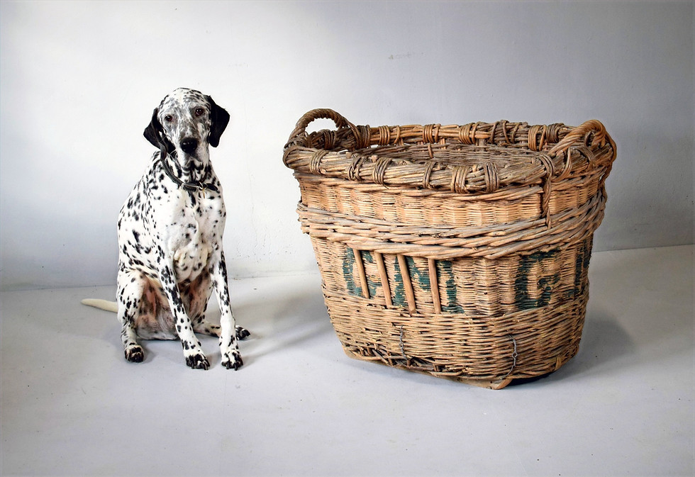 Thumbnail: French Champagne Grape Pickers Basket