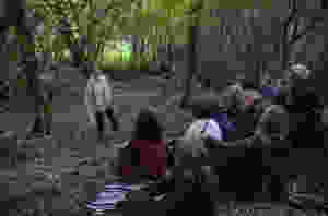 storytinthewoods.jpeg