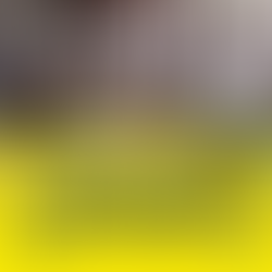 Conselho fiscal aprova as contas 2019