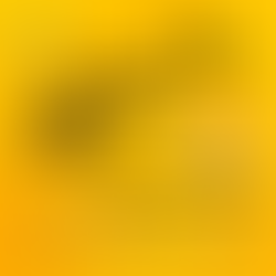 Pedal Noturno da Asbac