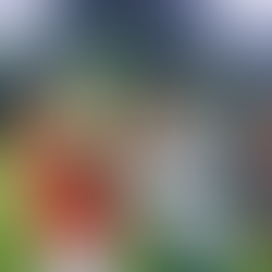 Encerramento das atividades esportivas de 2019