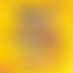 Feijuca na Folia 2ª edição