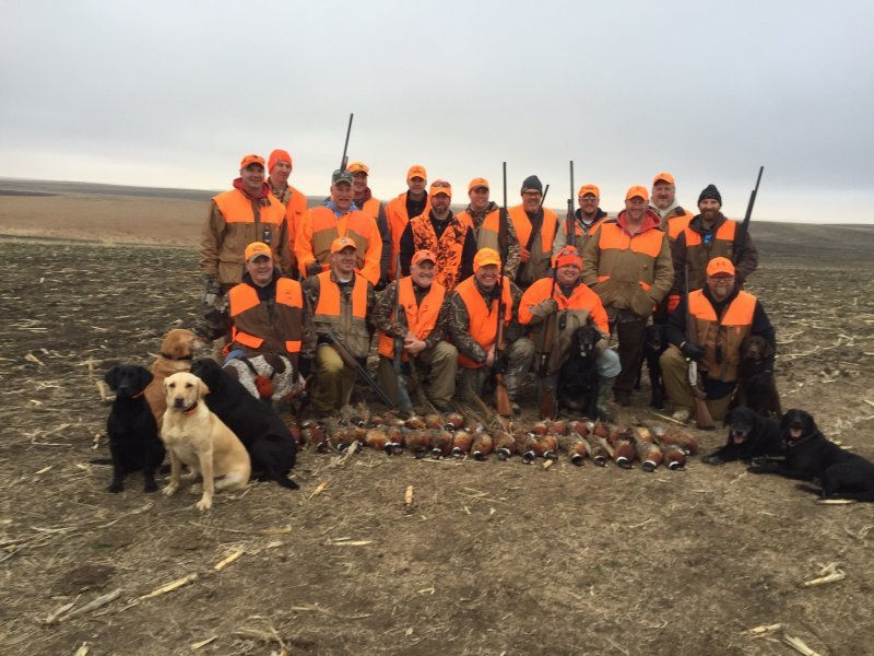 Thumbnail: South Dakota Lodge Based Pheasant Hunts