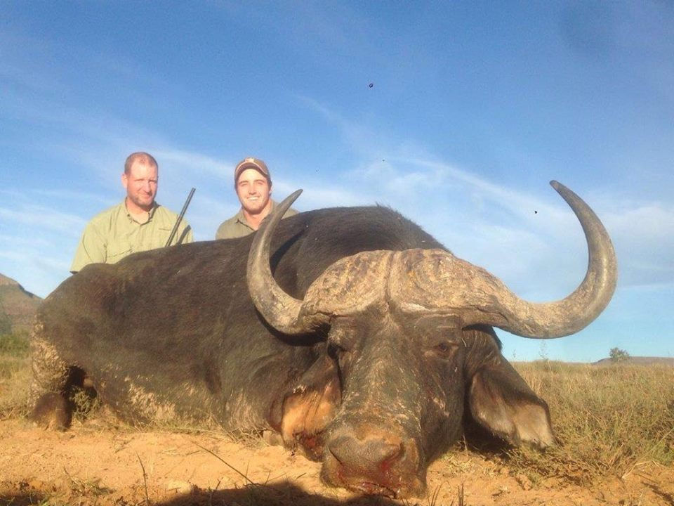 Thumbnail: World Class Cape Buffalo Hunt