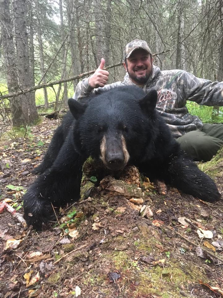Thumbnail: Archery Black Bear hunts in Saskatchewan