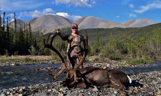 Thumbnail: NWT Trophy Dall Sheep in the Mackenzie Mountains