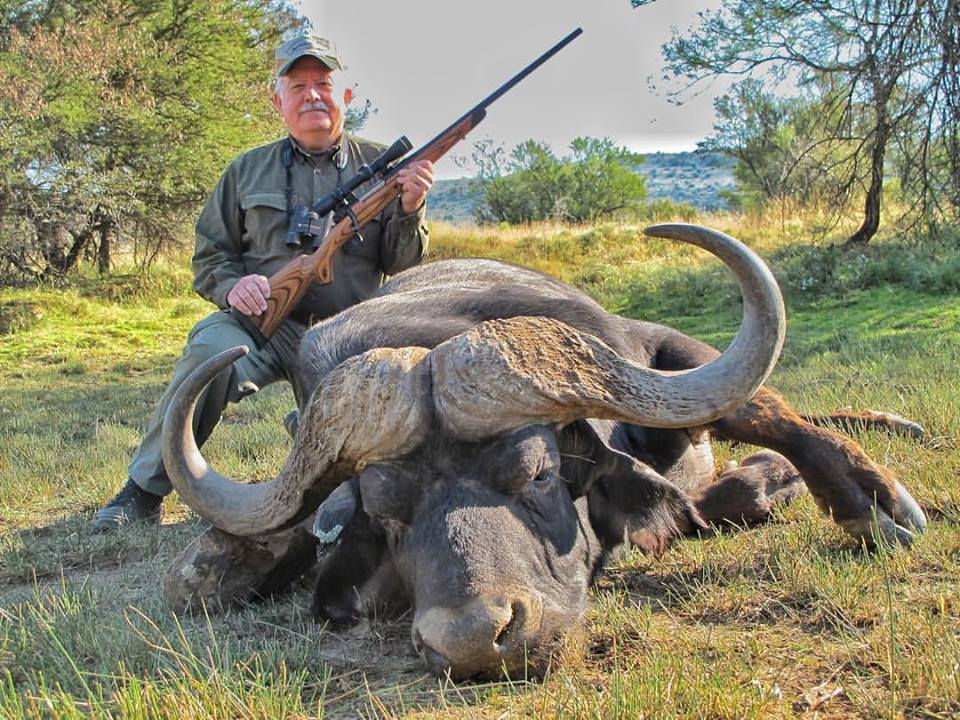 First Class Cape Buffalo Hunt