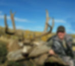 Thumbnail: Best Mule Deer Hunting Outfitter in Wyoming