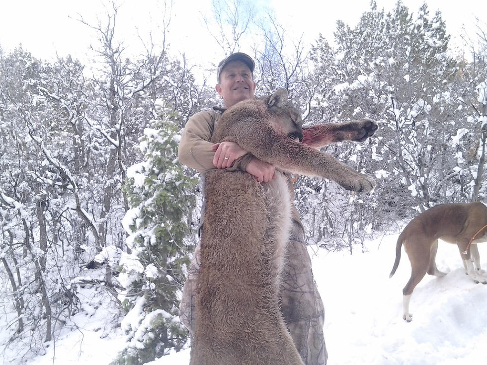 Thumbnail: Best Mountain Lion Outfitter in Utah